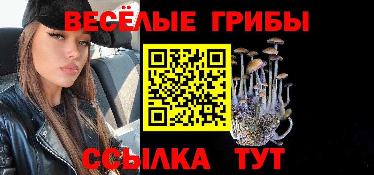 Галлюциногенные грибы MAGIC MUSHROOMS  Вход с VPN  Михайловск  что такое   Псилоцибиновые грибы мухоморы 