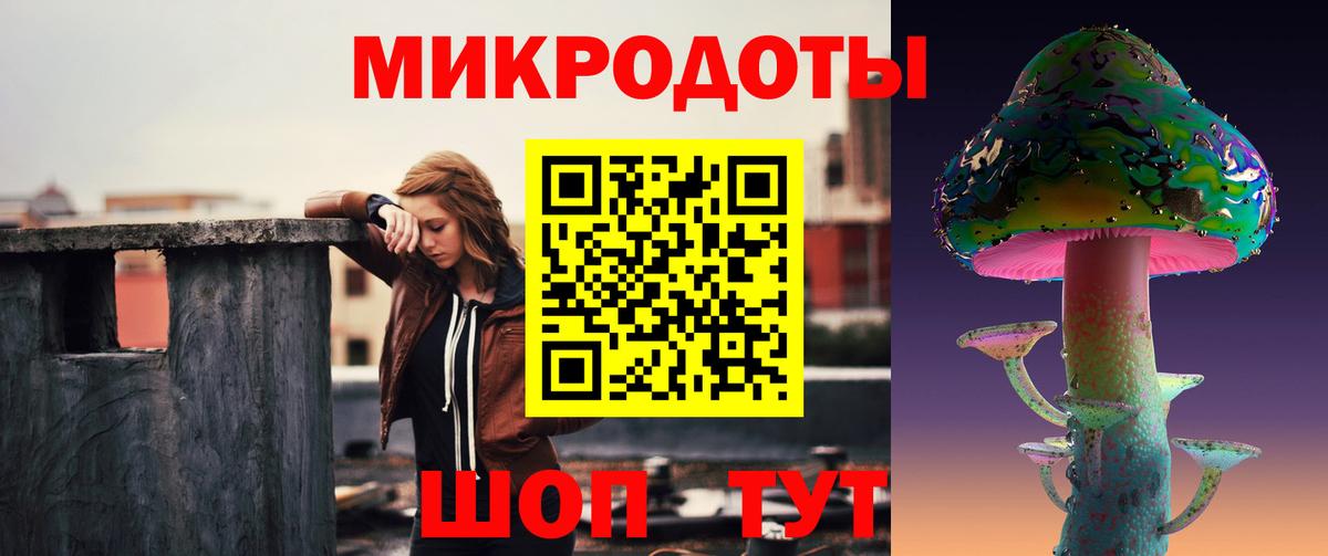 Псилоцибиновые грибы Psilocybe Михайловск